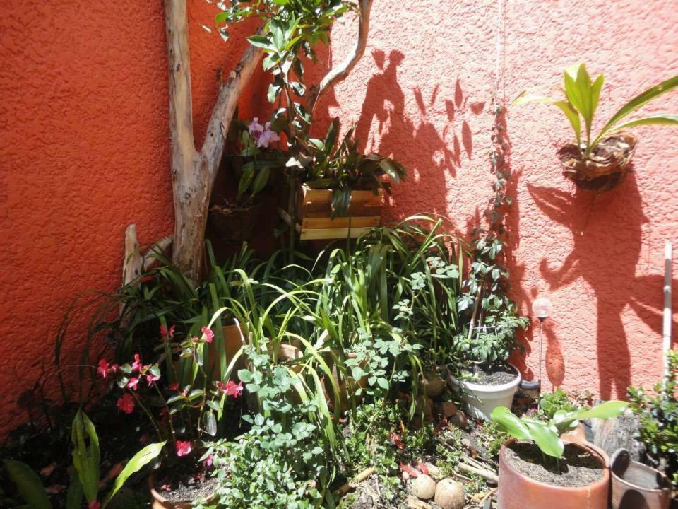 Hostal Del Carmen Villa de Leyva Exterior foto